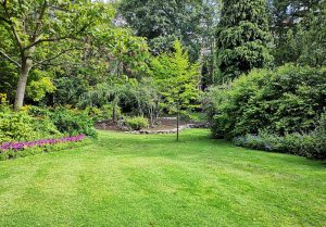 Optimiser l'expérience du jardin à Courcelles-sur-Vesle